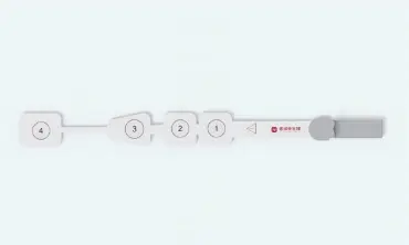 BIS Elektrotları